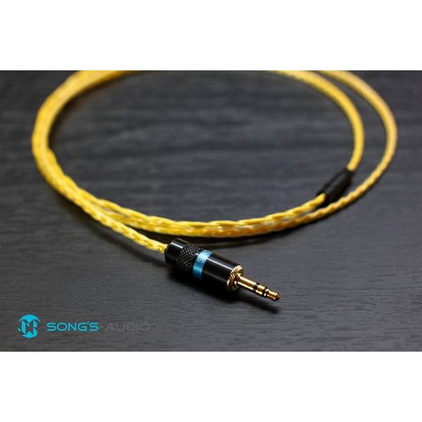 Song's Audio �\���O�X Sunshine ���P�[�u�� Westone CIEM �J�X�^��IEM �C�����j �C���z�� 2�s��