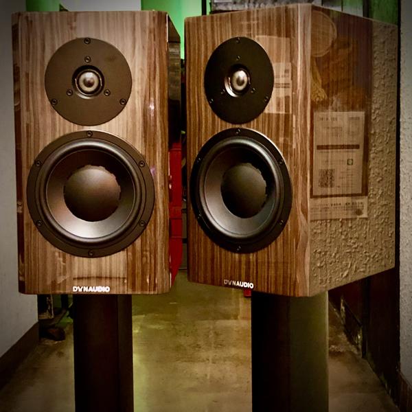 納期情報：納期未定】DYNAUDIO SPECIAL FORTY/EW（エボニーウェイブ・2