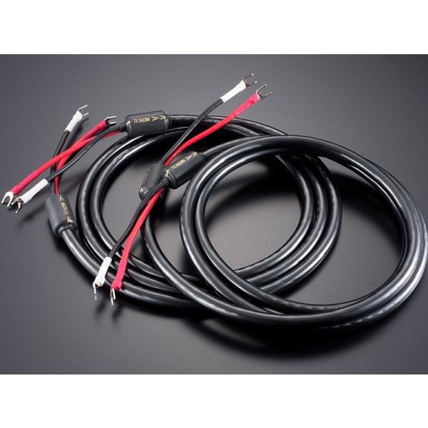 TIGLON (eBO) Xs[J[P[u MSS-DF100SP-HSE 2.5m YO[q 1yA