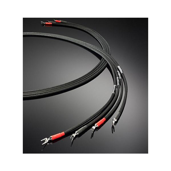 JORMA DESIGN (}fUC) Xs[J[P[u TRINITY VOC[ 1.0m 1yA