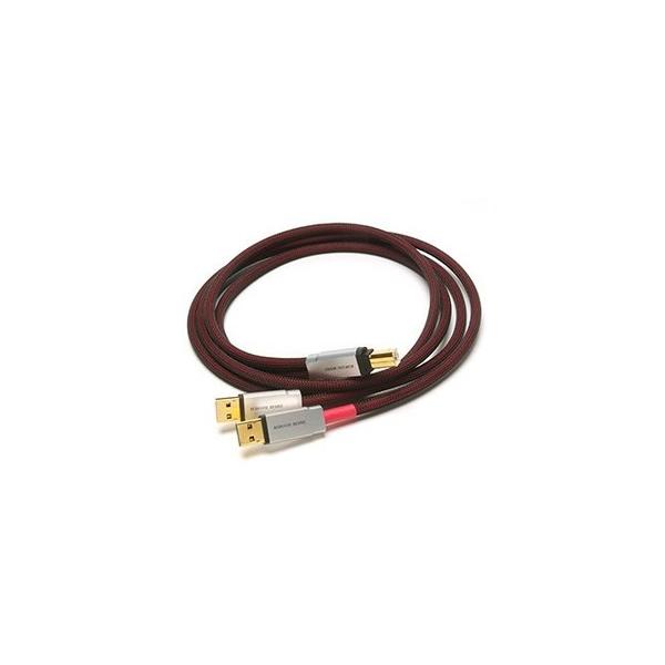 ACOUSTIC REVIVE (AR[XeBbNoCu) USBP[u USB-1.0SP-TripleC 1.0m