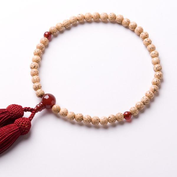  p O  ڋ mEd [ {[  VN