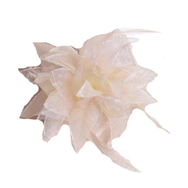 ̃RT[W H tFU[ S  w  Ǝ  tH[} 