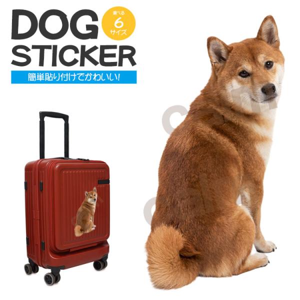 ステッカー 車 かわいい シール 犬 柴犬 振り向く犬 動物 アニマル 全身 カーステッカー リアル インテリア バイク カー用品 スーツケース いぬ 装飾