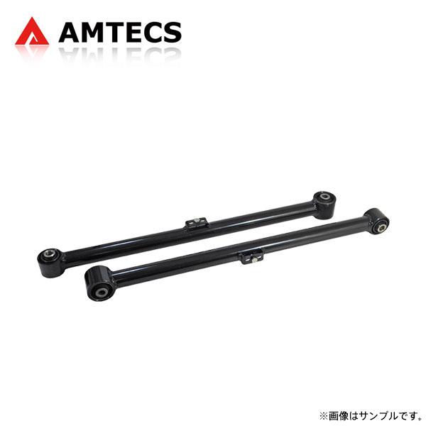 AMTECS アムテックス SPC 25950 リアロアコントロールアーム (オフ
