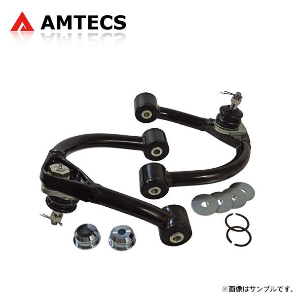 アムテックス spc アッパーアーム SPC アムテックス アッパーアーム 車検対応