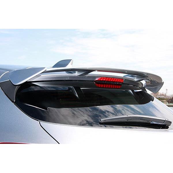 オートエクゼ AutoExe BM-05S リアルーフスポイラー アクセラスポーツ 