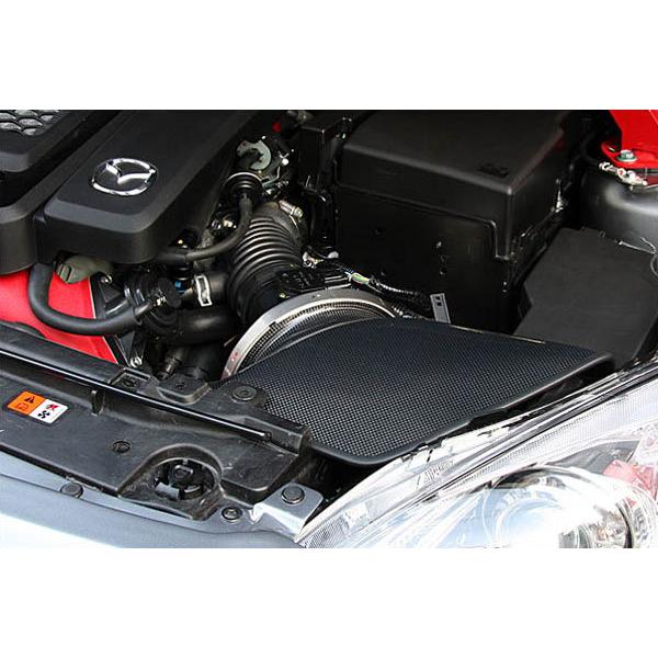 オートエクゼ AutoExe ラムエアインテークシステム マツダ