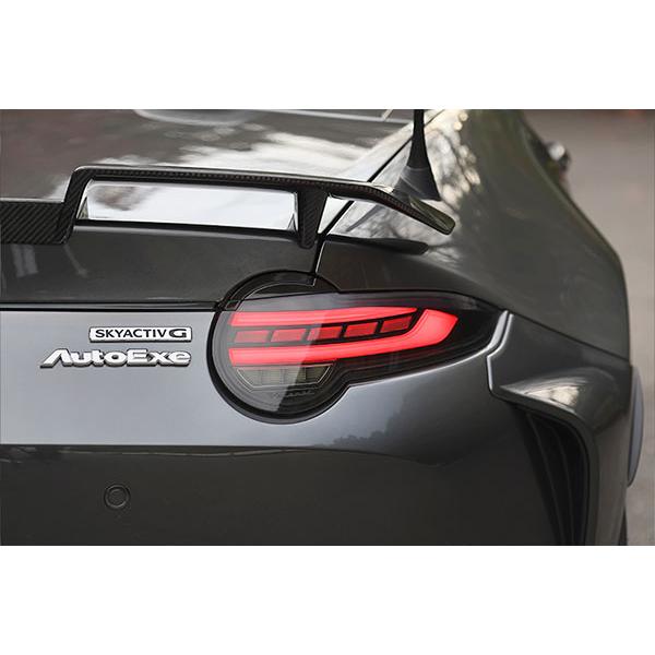 オートエクゼ AutoExe ND-07S LEDリアコンビネーションライト