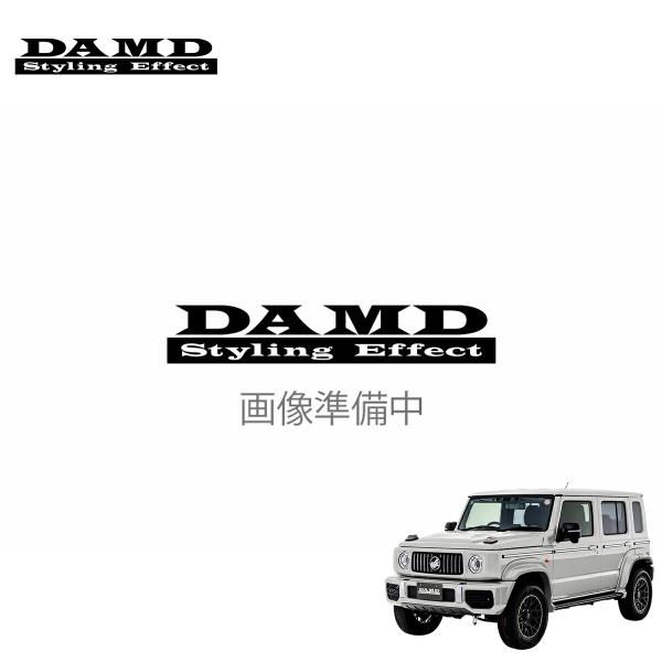 DAMD ダムド NOMADE little G. ADVANCE フロントカメラ＆モニター