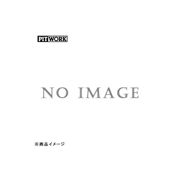 PITWORK ピットワーク ノックスドール 下回り防錆 ノックスドール1100