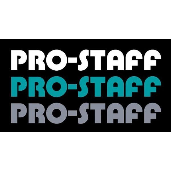 プロスタッフ ZEAL PRO-STAFFロゴステッカー W720×H98 : オート