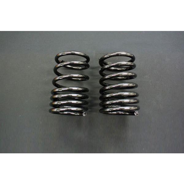 SilkRoad シルクロード リア車高調用スプリング(2本セット