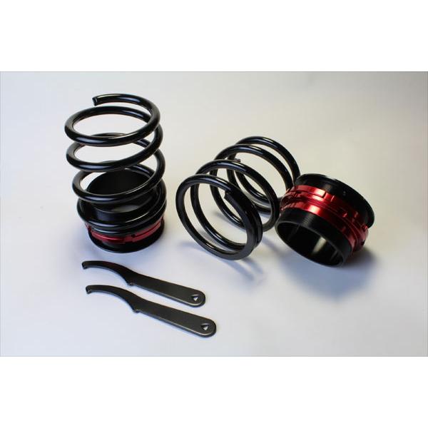 Spiegel シュピーゲル リア車高調キット (ショートスプリングタイプ