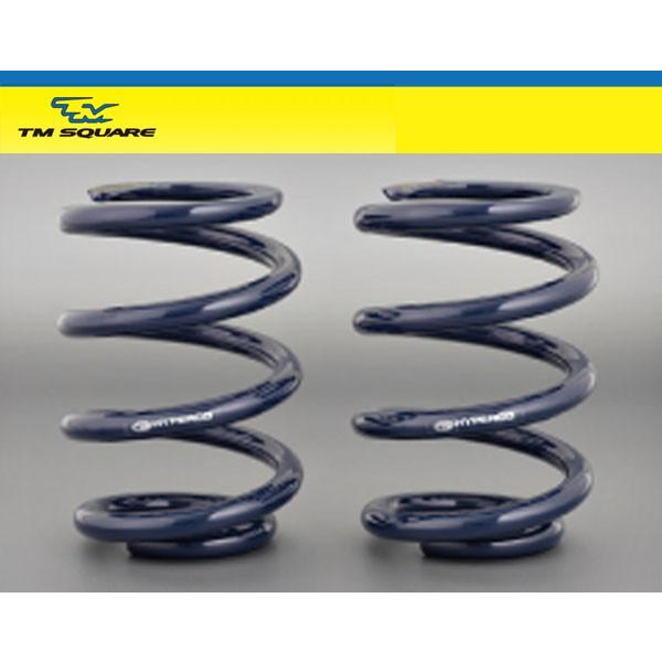 TM SQUARE スイフトスポーツ ZC31S オリジナル サーキット