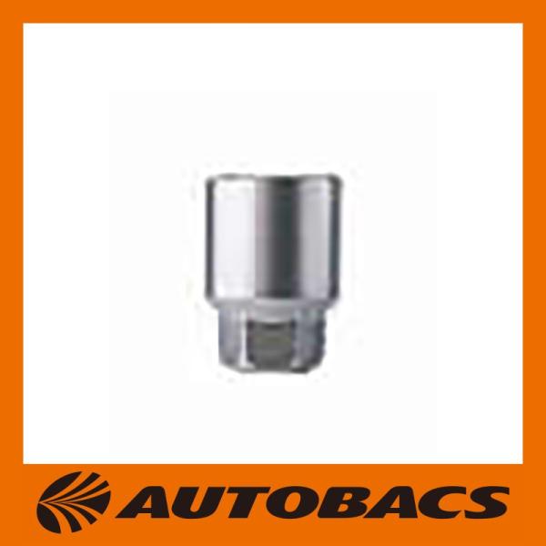 autobacs_4971475127393