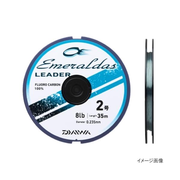 エギング激戦エリアでも、スレたイカに警戒感を与え難い、藻色のリーダー。