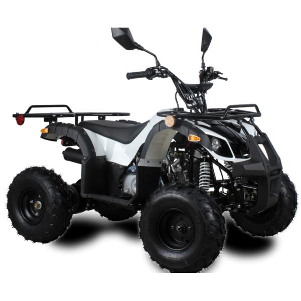 四輪バギー50cc(キット)ATV前進1速バック付公道走行可 新車 四輪バギー50cc(キット)ATV前進1速バック付公道走行可 新車