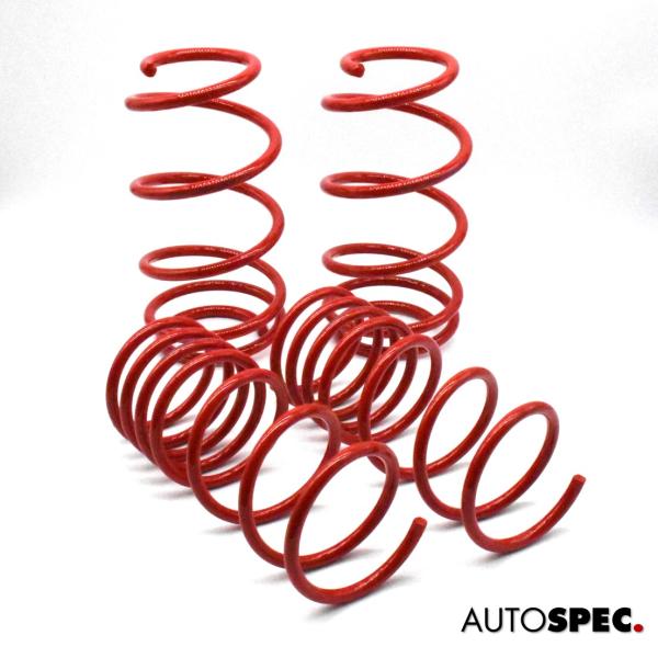 アバルト（ABARTH） ABARTH 500 595 695 ロワードスプリング Ver-2