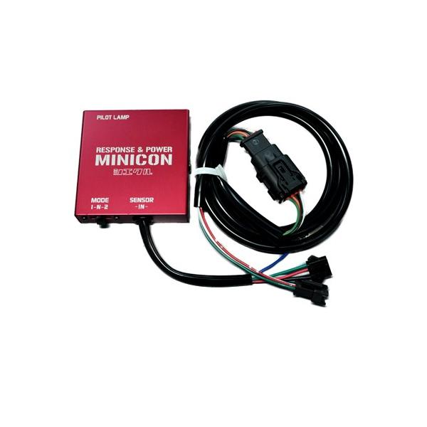 autosupportgroup_yssieclemini1-0390_1