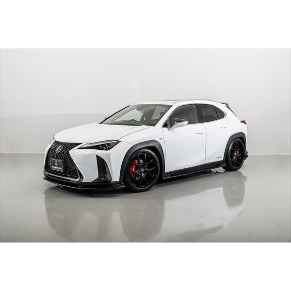 エイムゲイン レクサスUX 250h MZA10 F-SPORT AIMGAIN SPORT フル