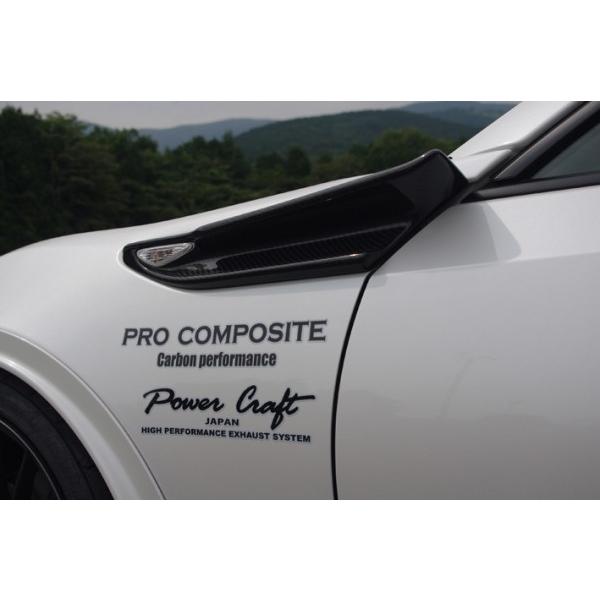 プロコンポジット BRZ ZC6 フェンダーカナード Type2 ウィンカー付 