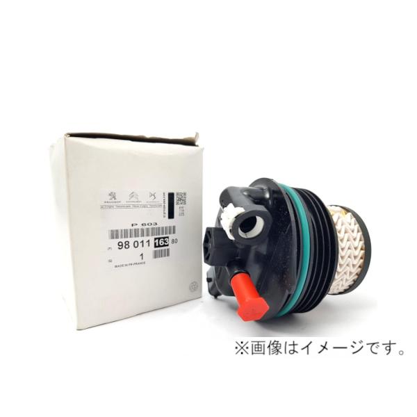 ダッフィー 8月10日発売【adidas x atmos ZX 8000 “G-SNK 9”】スカイツリー