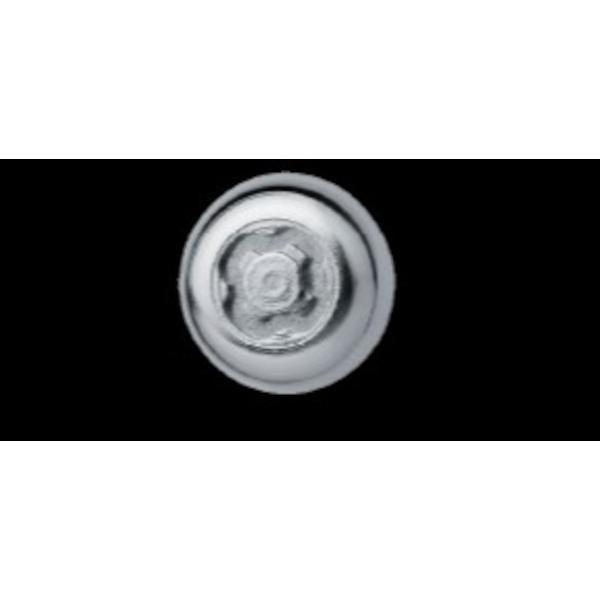 アルファロメオ（ALFA ROMEO） 純正 ナンバーロックボルト