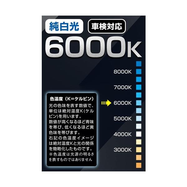 autowork_4960311064879_5_d_20250729102407