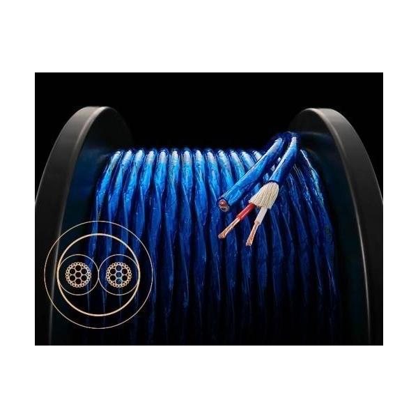 6NSP-Granster 2200 [5.0m] Zonotone []mg[] ؔXs[J[