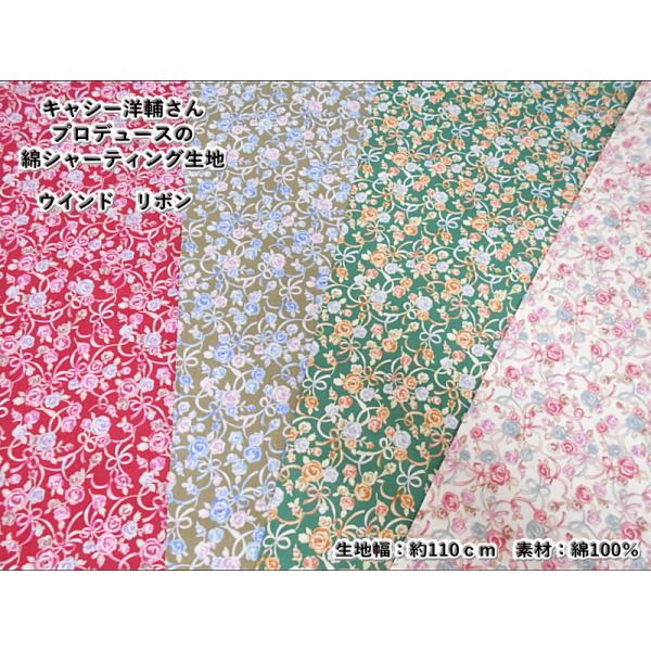 ݌ɌII02242@LV[mコvf[XyveBH[WzECh{@ȃV[eBO@110cmi×50cmjyC2-6zU-2.5