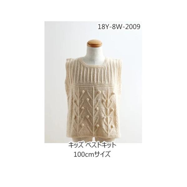 18Y-8W-2009yxr[LbYLbgzxXgLbgi100cmTCYj@y炩4ʎgpz@yC4-12-140-5z