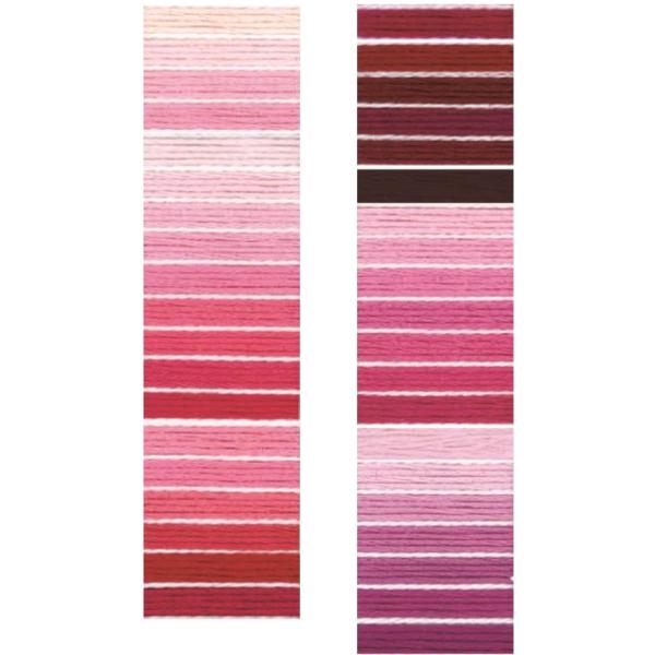 wRX COSMOx hイ hJ 25Ԏ  |  ~TK ٖD nhCh yC3-8-123-6z