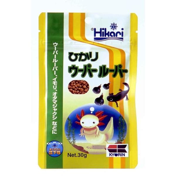 ウーパールーパーの通販 価格比較 価格 Com