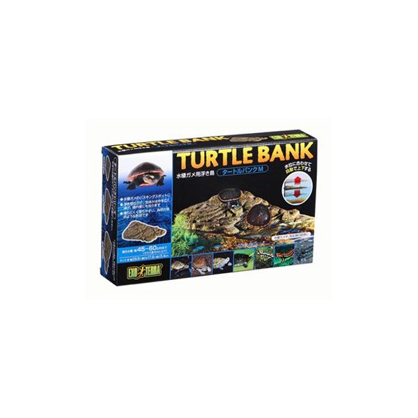 GEX  �G�L�]�e���^�[�g���o���N�@M