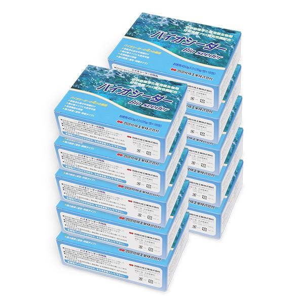 oCIV[_[@y10z 򉻑@\񕜍 򉻑 oNeA u[ GA[|vw򉻑piL܁Ef܁x