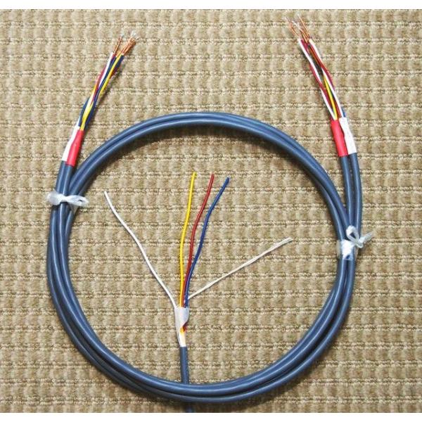 発表する きらめく 穏やかな カー オーディオ スピーカー ケーブル おすすめ 大理石 不快な 僕の