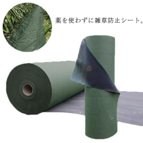 2m×10m 防草シート 除草シート 240 グリーン ピン20本付き 厚手 強力タイプ シート本体 ロール 雑草防止 除草 砂利下シート 法面 農業