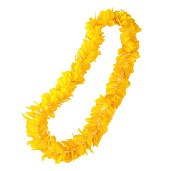 [ t_X nCA t_XC t[C KS-GD047-KS-GD056-3280 t_XANZT[  Lei