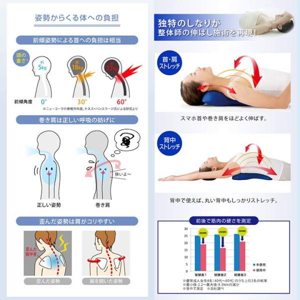 背中 首 ストレッチ 姿勢補整 筋肉をほぐす スマホ首 巻き肩 首から背中 バランスボーン Z1252 骨型まくら 姿勢 コリをほぐす Buyee Buyee Japanese Proxy Service Buy From Japan Bot Online