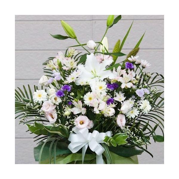  t[AWg   z ܂ p ܂ @ d l\    LLTCY