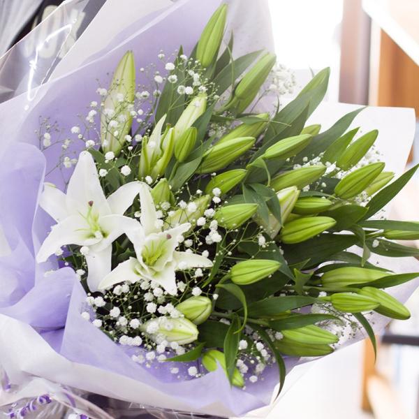  S p z ܂  @ @v  O      ԑ LTCY