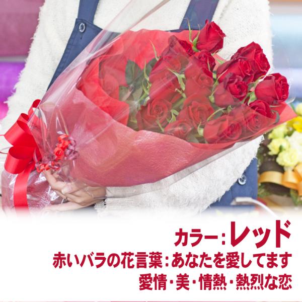 ԑ  Mtg v[g  av[g LO 蕨  ỏԑ MTCY 10{@12{@15{ ̓