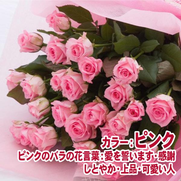 ԑ  Mtg v[g  җ LO v|[Y a j \ 蕨  ỏԑ LTCY 20`25{ ̓