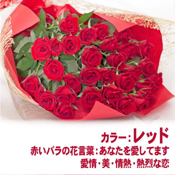 ԑ  Mtg v[g  a җ ސE LO v|[Y  蕨 ỏԑ LLTCY 30{ ̓