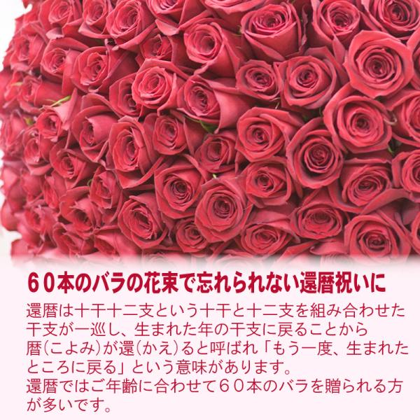 ԑ  Mtg v[g  җ a 蕨 җ̉ 60{̐Ԃỏԑ ̓