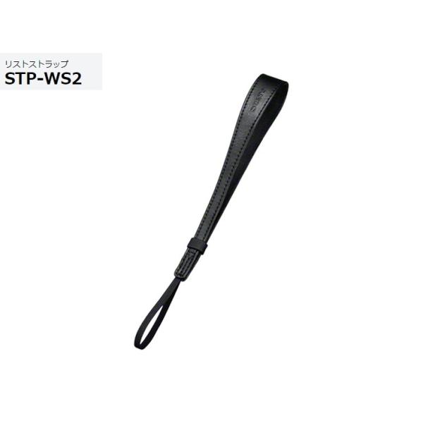 \j[ XgXgbv  STP-WS2 (B)ubN