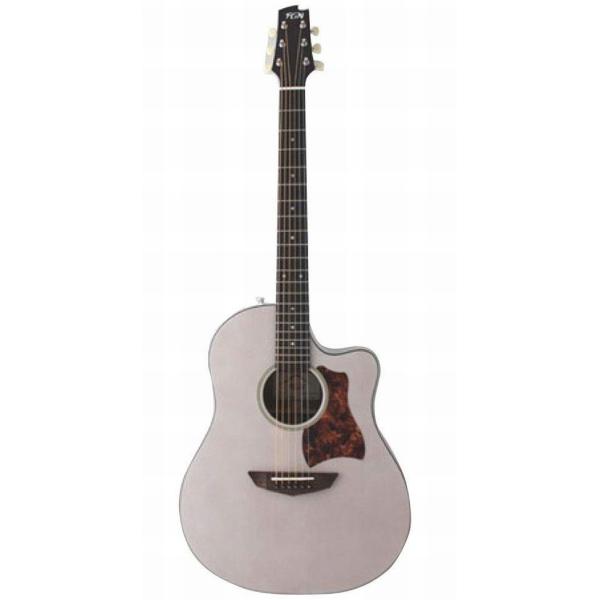 FUJIGEN（フジゲン） FUJIGEN AG1 TWF 薄胴 アコースティックギター