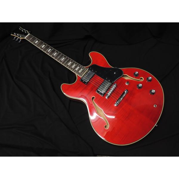 Sire Larry Carlton H7 STR サイアー ラリーカールトン セミアコ 335
