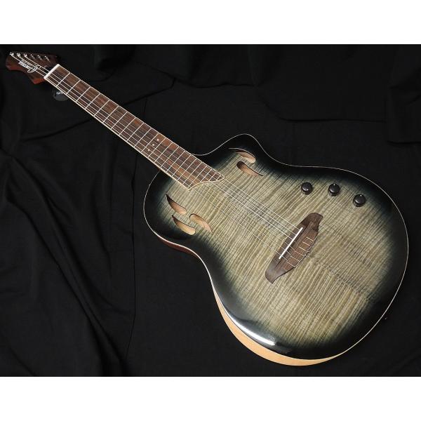 ORTEGA RTPG-LS1 オルテガ フレイムメイプルトップ 薄胴 エレガット クラシックギター アームレスト TOURPLAYER